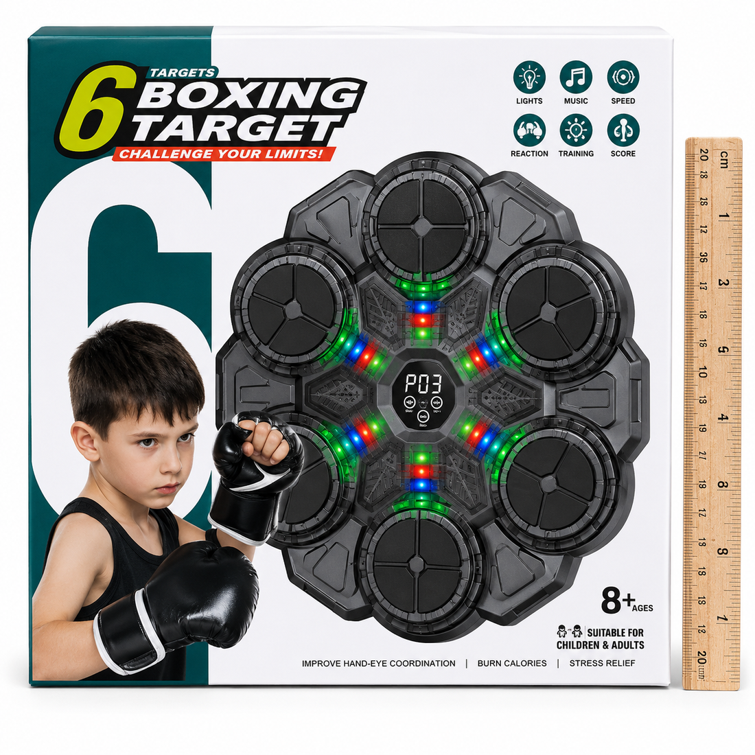 6 Target Electronic Boxing Trainer