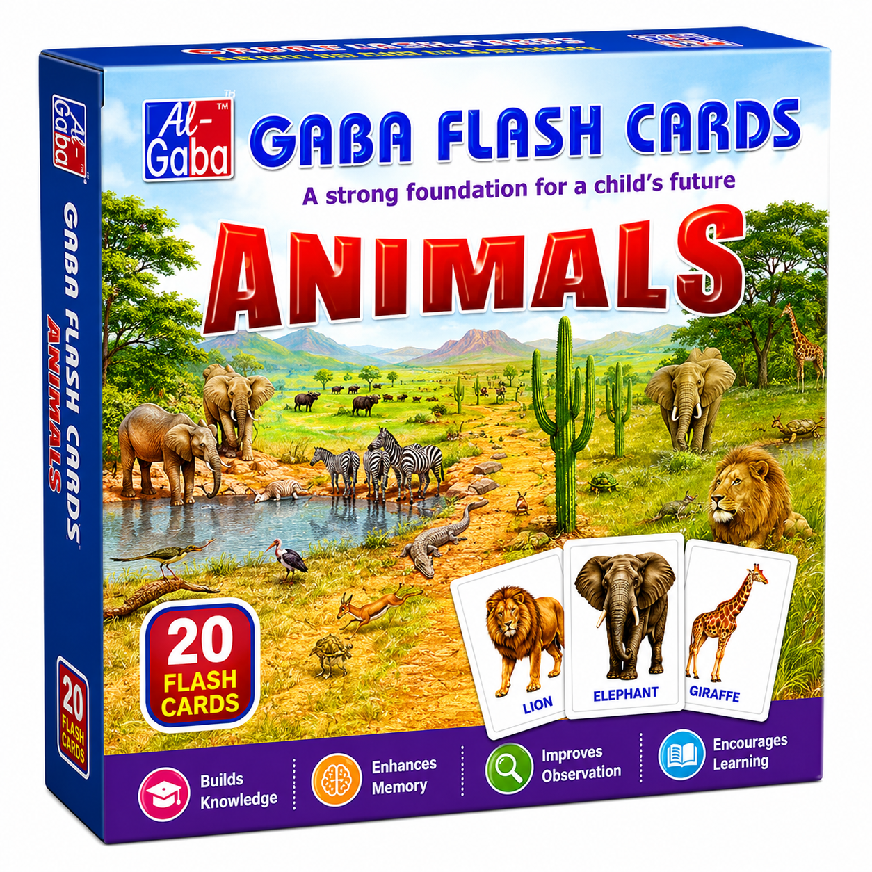 Gaba Flash Cards