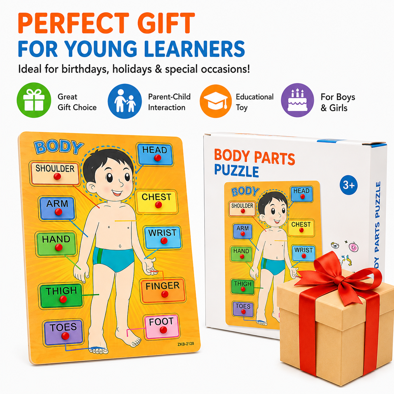 Montessori Wooden Human Body Parts Puzzle for Kids