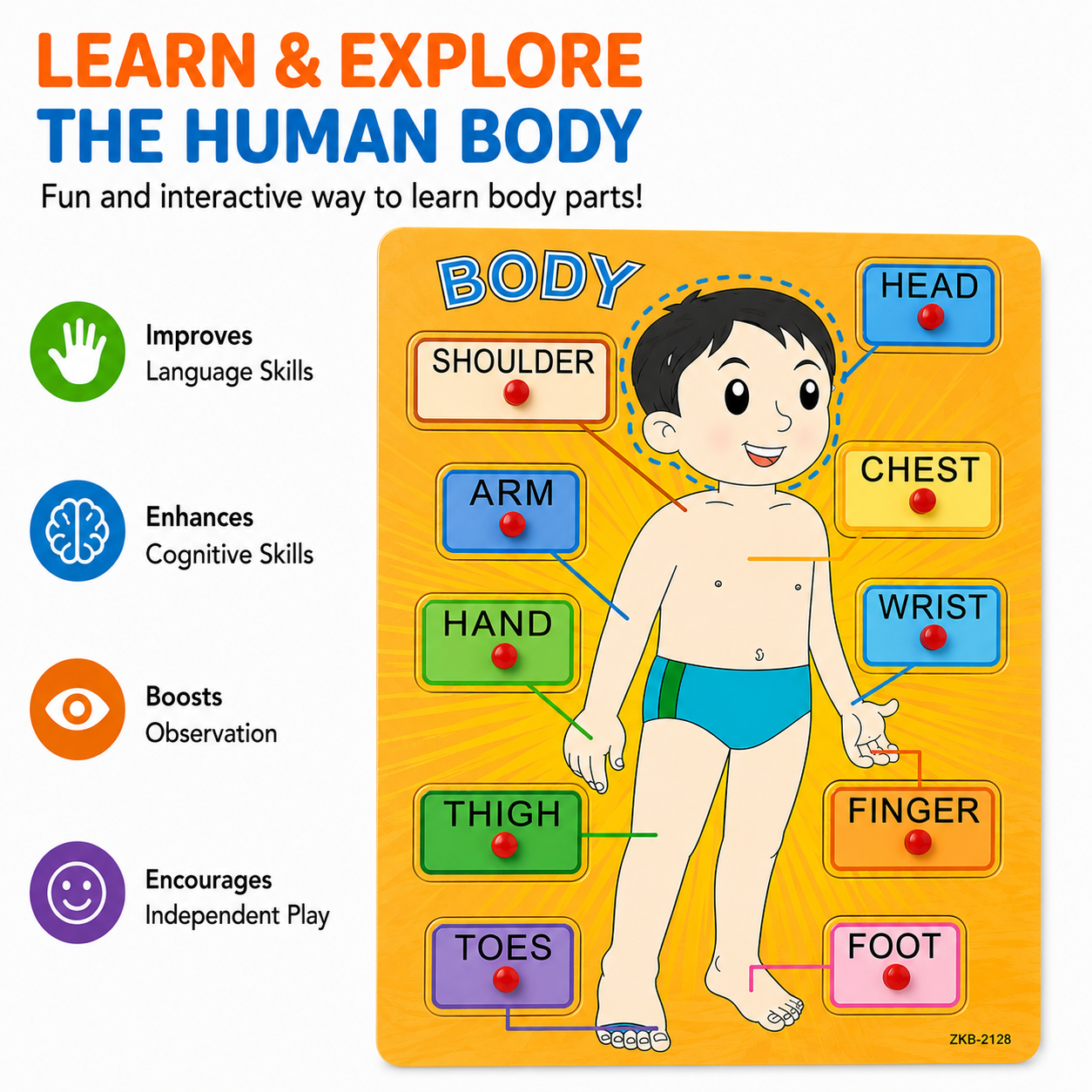 Montessori Wooden Human Body Parts Puzzle for Kids