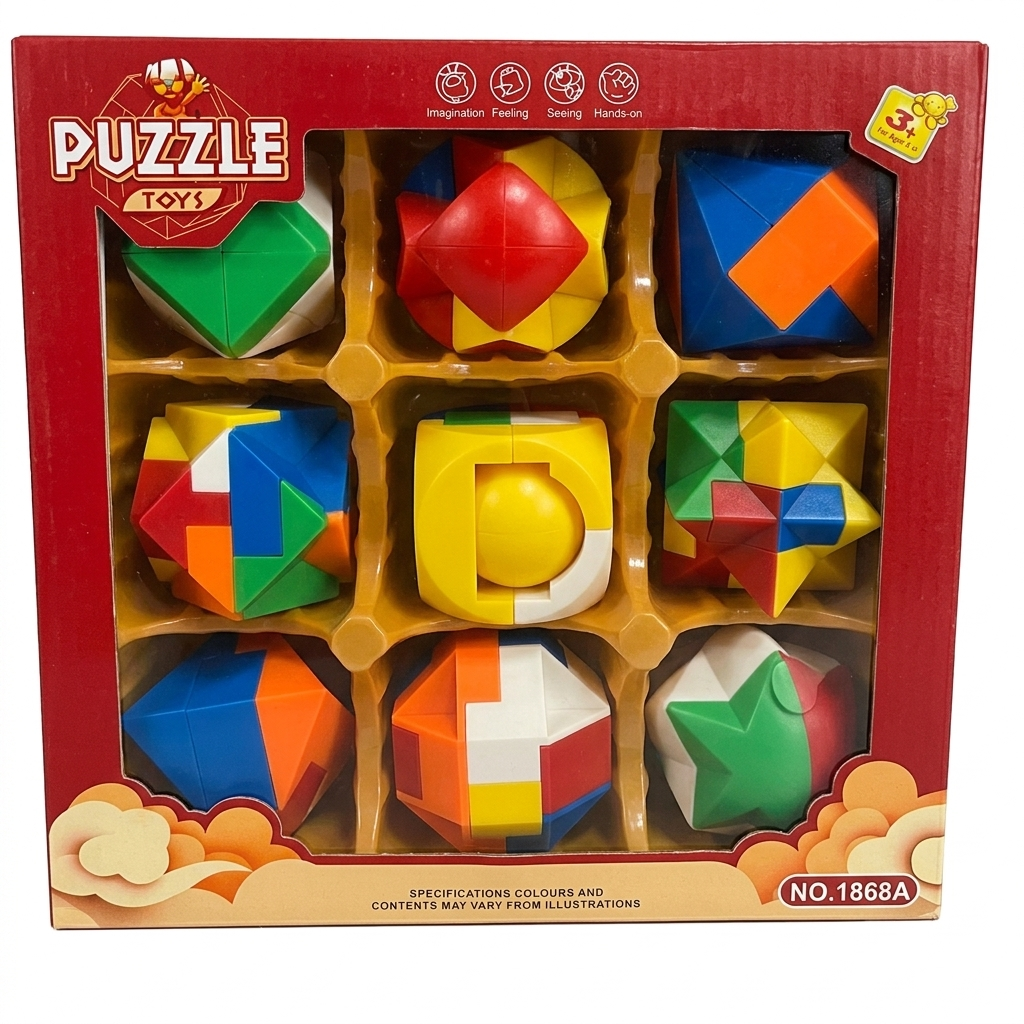 Puzzle Toys Variety Geometric Brain Teaser Set